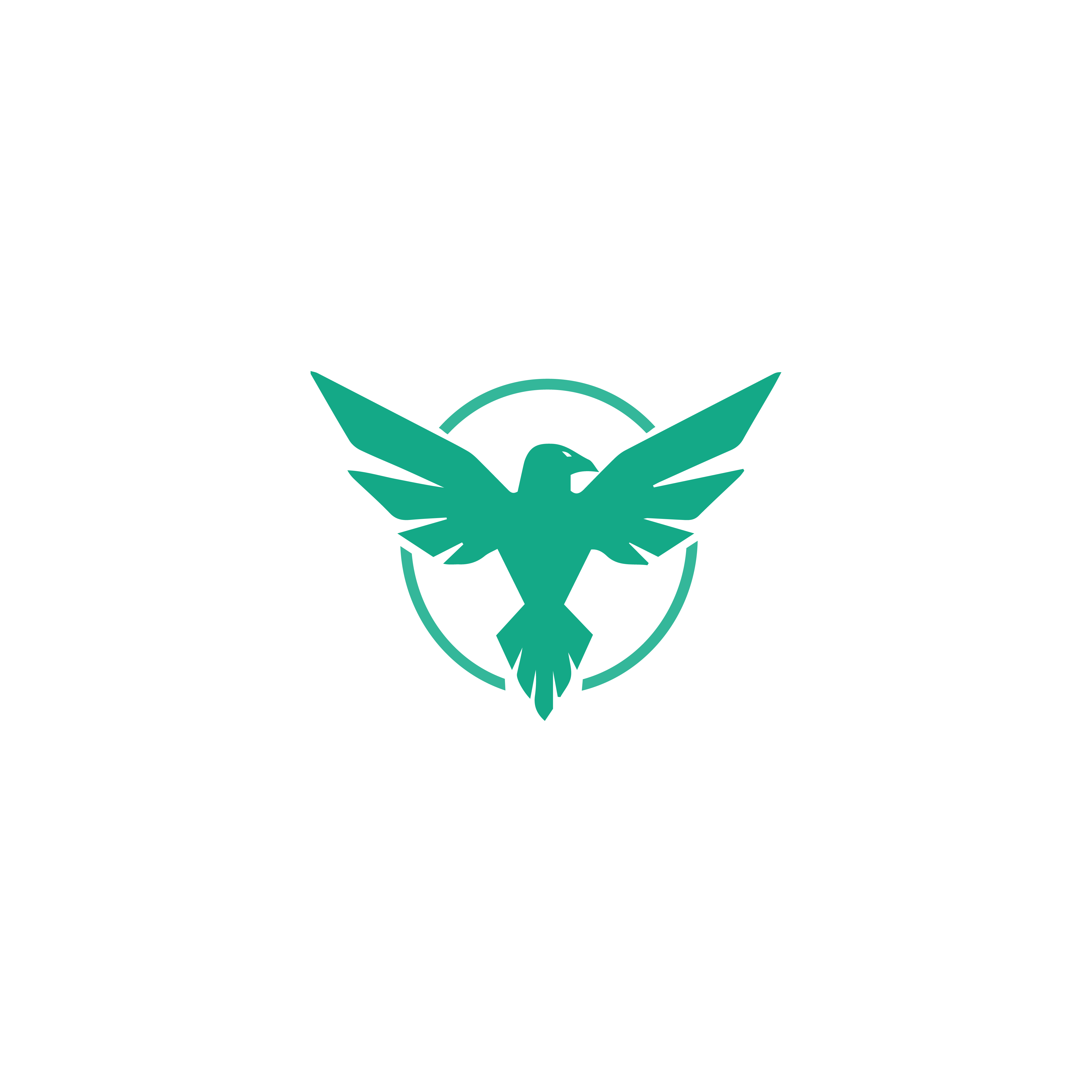 Falconverge emblem